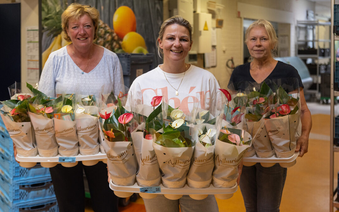Leverancier: Een kleurrijke bijdrage van familiebedrijf Westra